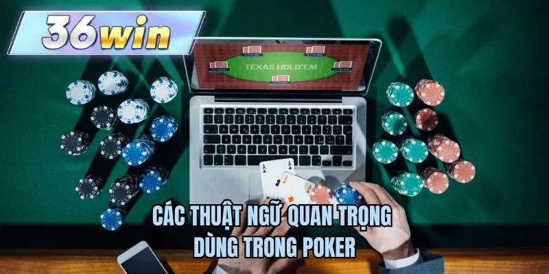 Các thuật ngữ quan trọng dùng trong Poker