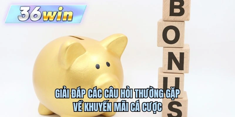 Giải đáp các câu hỏi thường gặp về khuyến mãi cá cược
